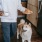 dog and man with breakfast walk across the kitchen